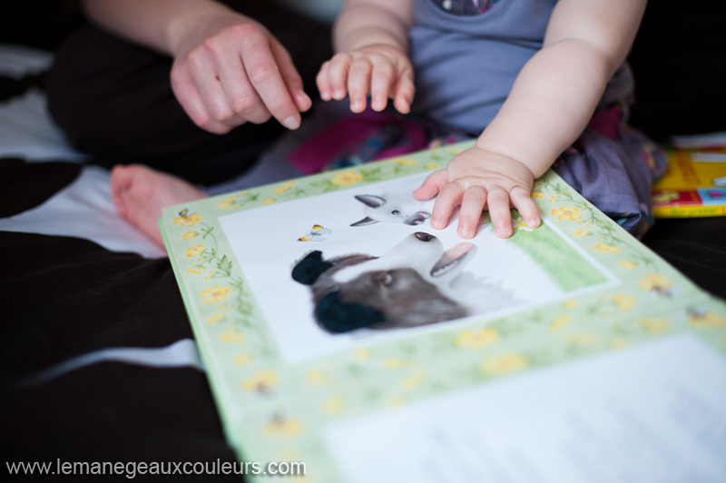 seance-photo-bebe-un-an-a-domicile-dans-la-chambre-lecture-et-calins-avec-maman-photographe-famille-lille-valenciennes-nord-pas-de-cal (3)