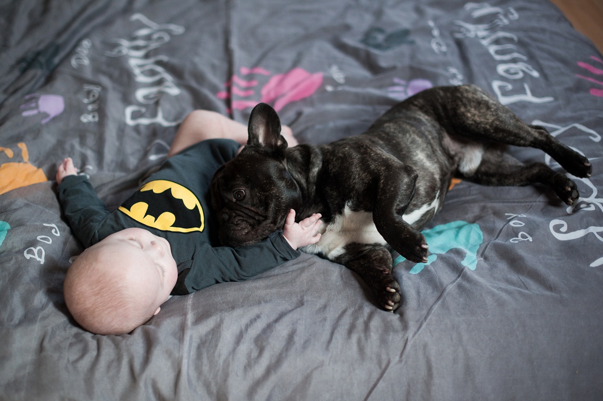 portrait bébé avec son chien photographe nouveau né lille nord pas de calais