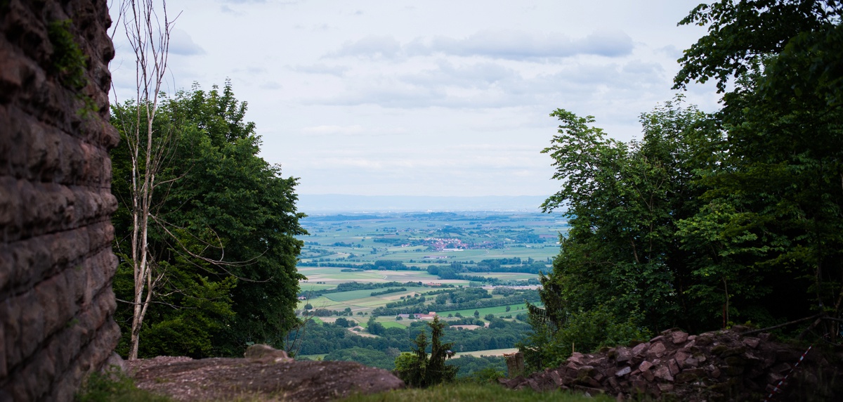 paysage alsacien depuis Grand Gehroldseck