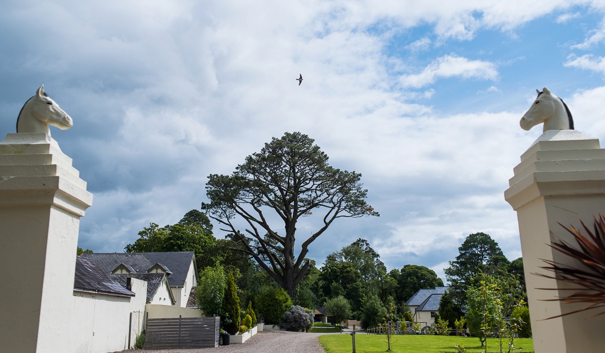 dromquinna manor wedding photographer in kerry county reportage photo en irlande