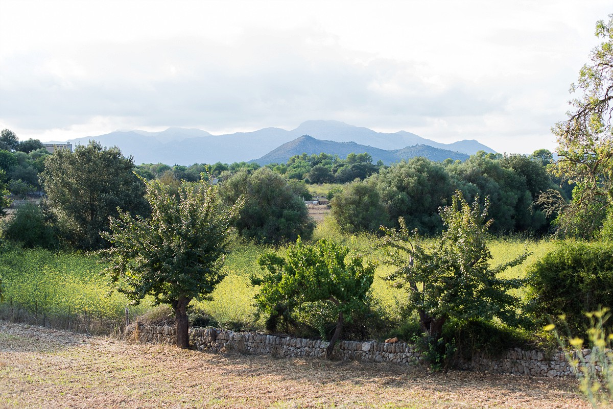 paysages de majorque