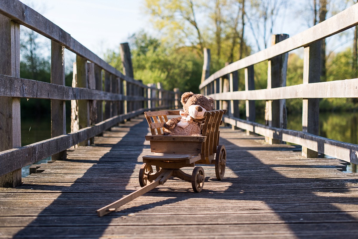 photographe famille lille nord