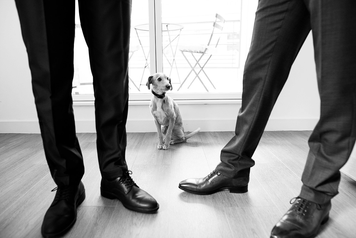 photos de mariage naturelles et expressives à lille