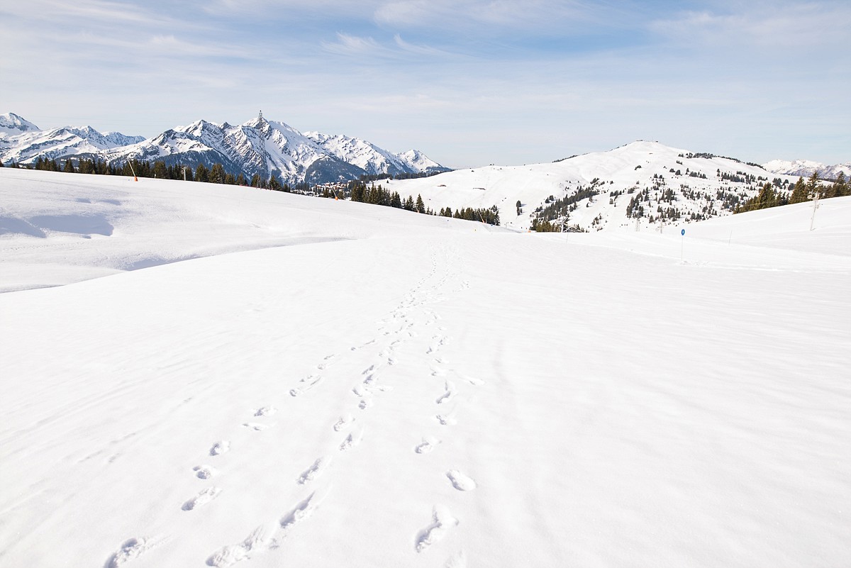 randonnée en amoureux dans la station de ski les saisies avec vue sur le mont blanc