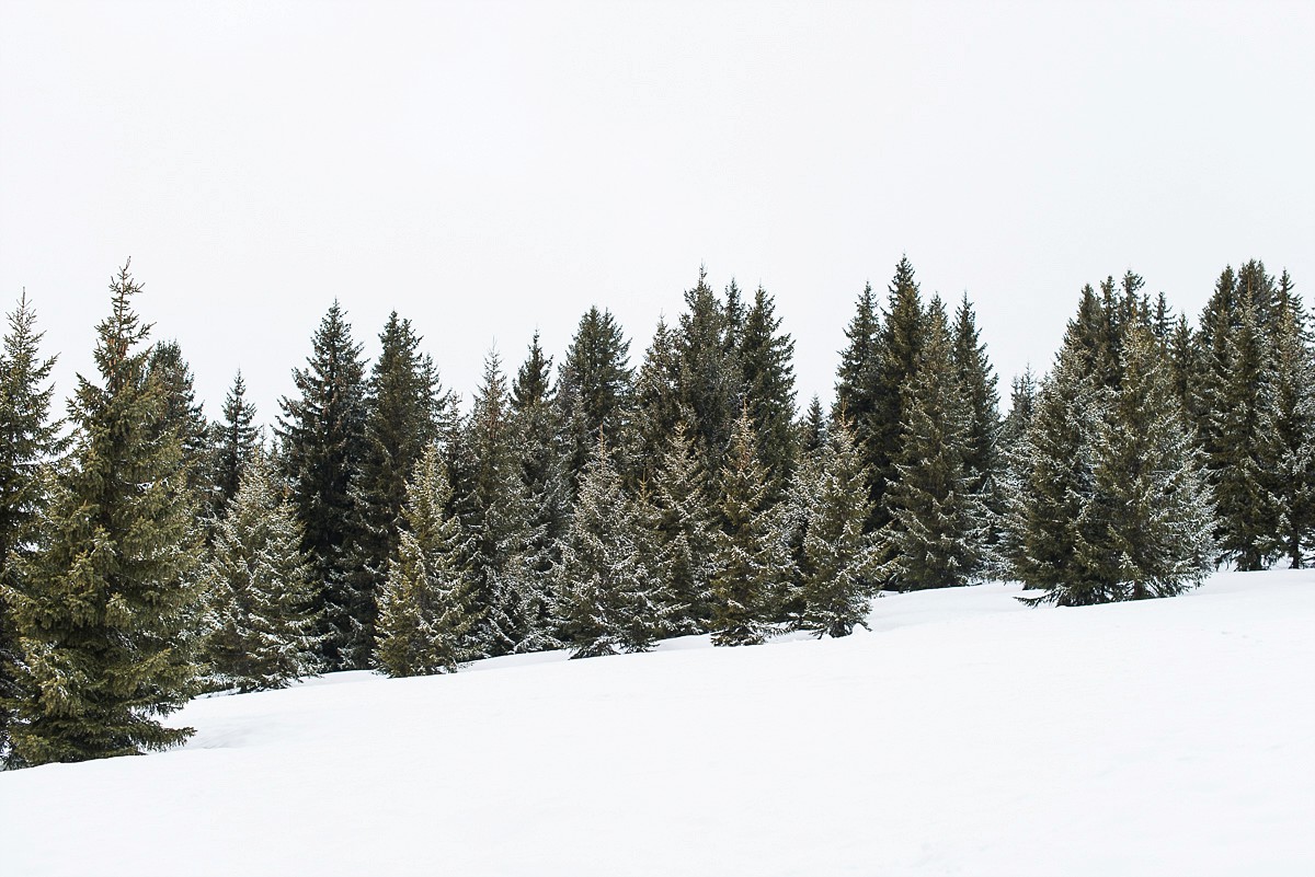 Séance photo de couple à la montagne