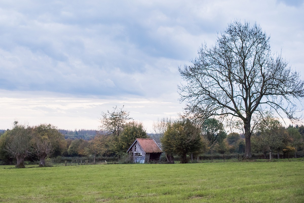 paysages de l'avesnois en automne photographe lille