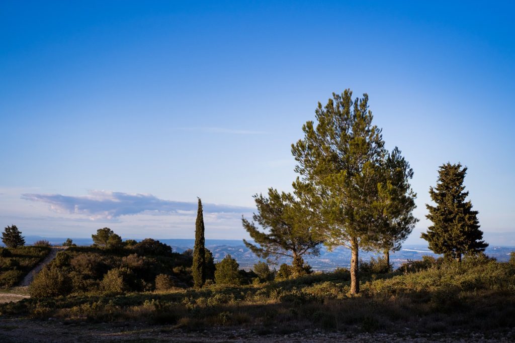 une séance photo de famille dans les baux de provence